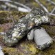 Blaser HunTec Observer rukavice camo