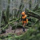 Blaser Tackle softshell bunda Field&Forest dark olive/orange