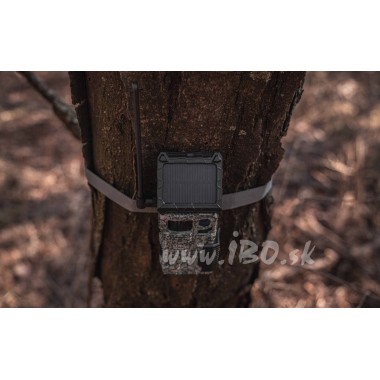 Fotopasca SPYPOINT LINK-MICRO S LTE + SIM karta a batéria ZADARMO